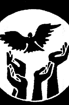 Hands releasing a dove
