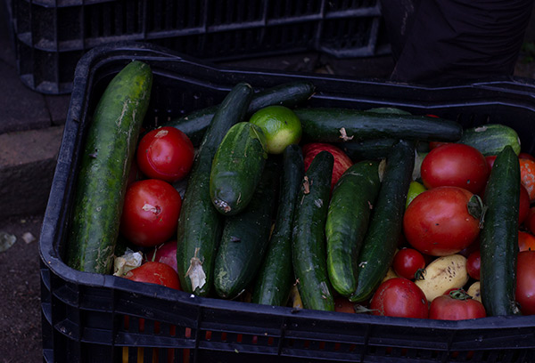 a black bin full of tomatoes and cucumbers