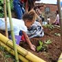 little girl planting seedlings in a steep hill garden