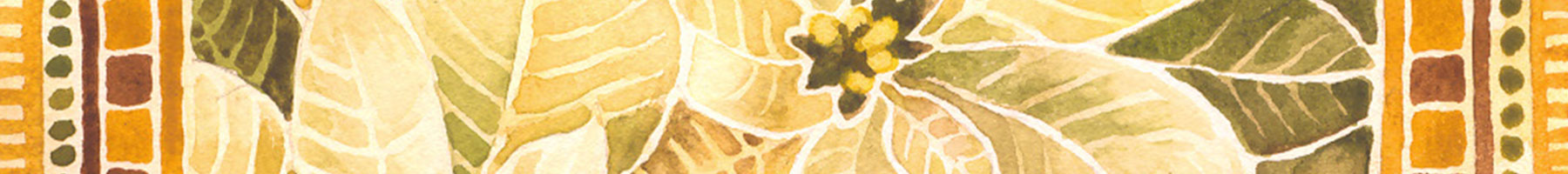 Watercolor detail of white poinsettias