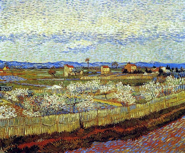 Peach trees in blossom by Van Gogh