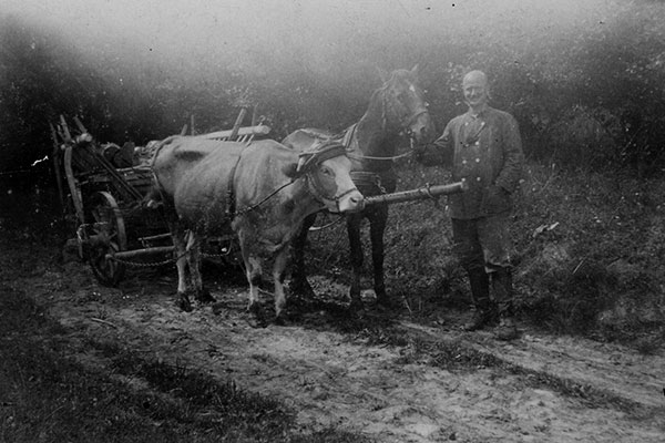 Sannerz: Adolf Braun with wagon team, 1925