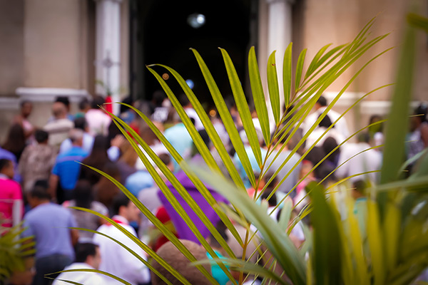 people waving palm branches in a Palm Sunday procession