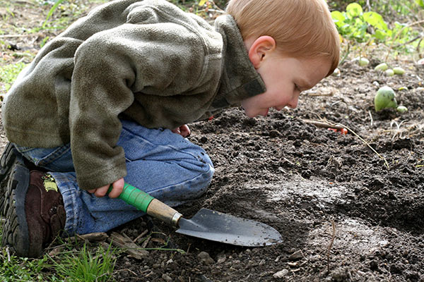 a boy holding a trowel in a garden