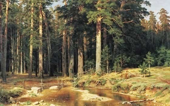 A painting by Ivan Shishkin depicting a stream and a grove of trees in bright summer sunlight.
