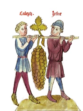 old drawing of Caleb and Joshua carrying a large bunch of grapes