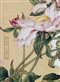 Chinese painting of pink flowers and leaves