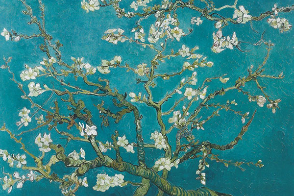 Almond Blossoms painting