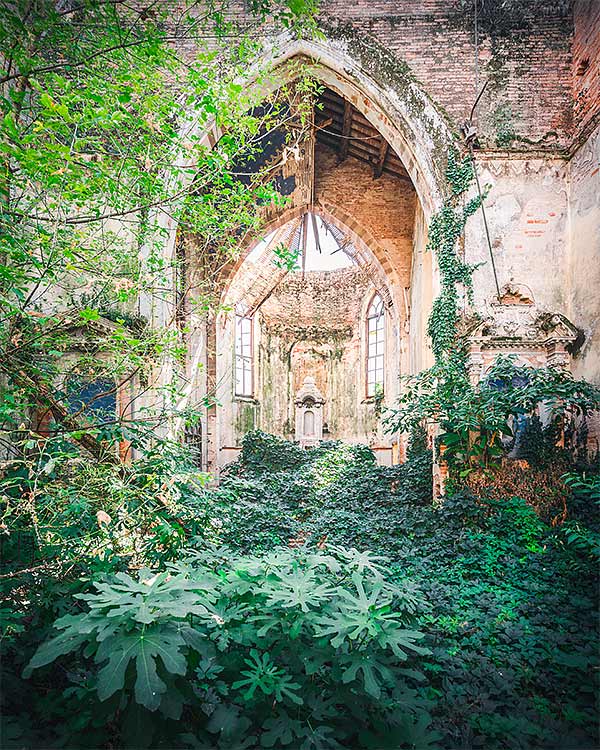 an old Gothic chapel covered with vines