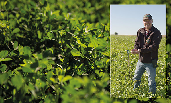 Rick Clark farms soybeans, alfalfa, and grain crops in Indiana