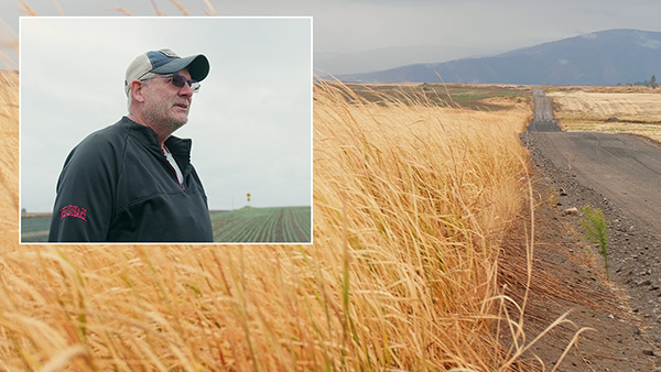 Douglas Poole farms wheat in central Washington.