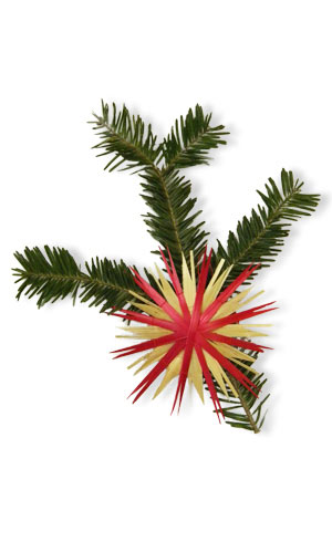 straw star and green branch