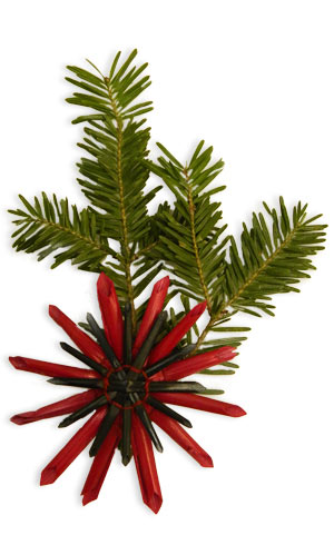 red straw star