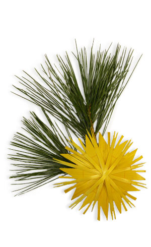 yellow straw star