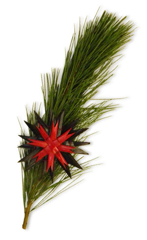 red star with white pine branch
