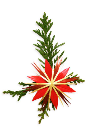 juniper leaves and a star made of red straw