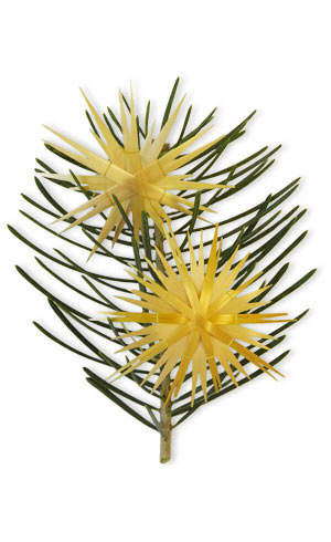 two yellow straw stars