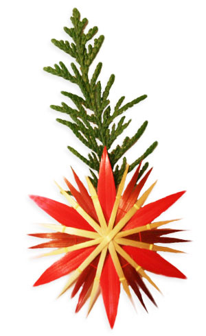 red straw star with juniper