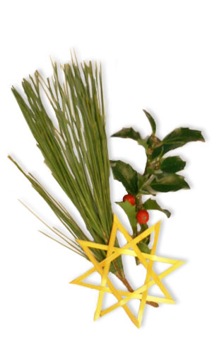 straw star and white pine with holly