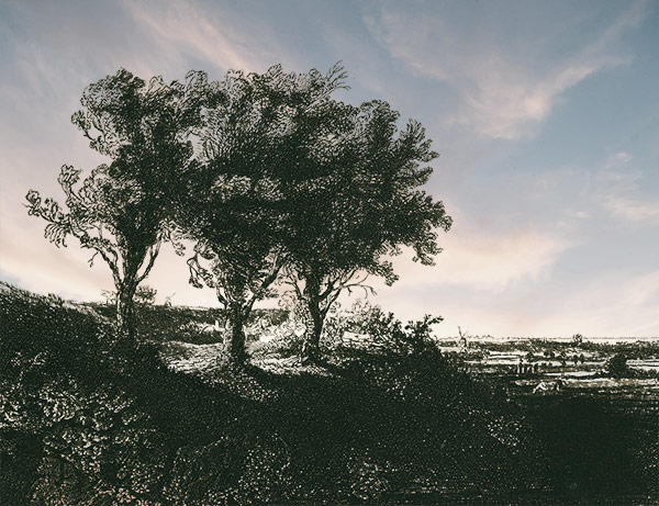 etching of three trees on a hillside