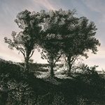 Los tres árboles
