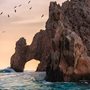 birds flying over a rocky coast