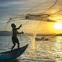 a man fishing with a net