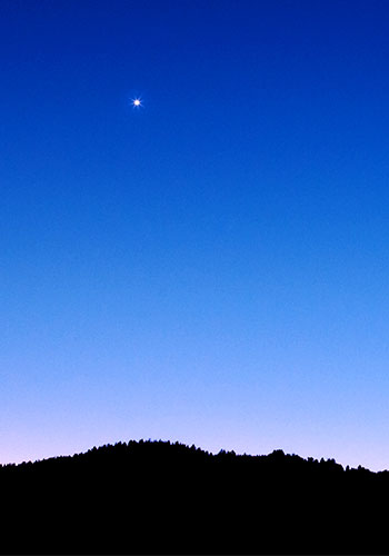 photo of Venus rising above a silhouetted forest