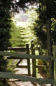 gate into a sunny garden