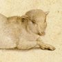 illustration of a lamb