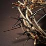 crown of thorns on brown background