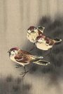 ohara koson, three tree sparrows in a rain shower