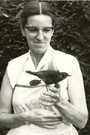 Anne Peters