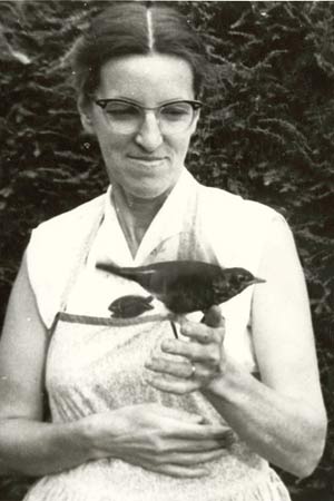Anne Peters