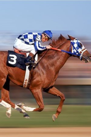 Secretariat, the famous race horse, in mid-stride.