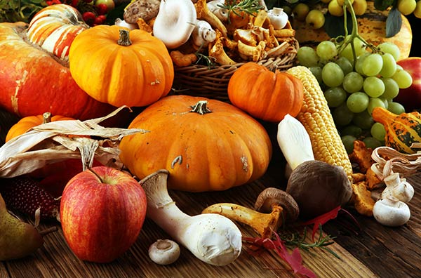 array of pumpkins and other harvested fruits and vegetables