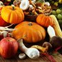 array of pumpkins and other harvested fruits and vegetables