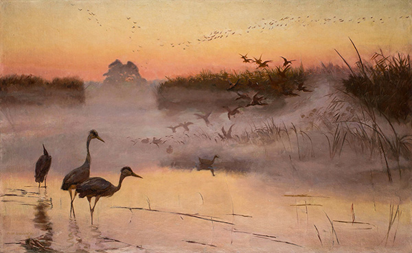 birds in a marsh at dawn