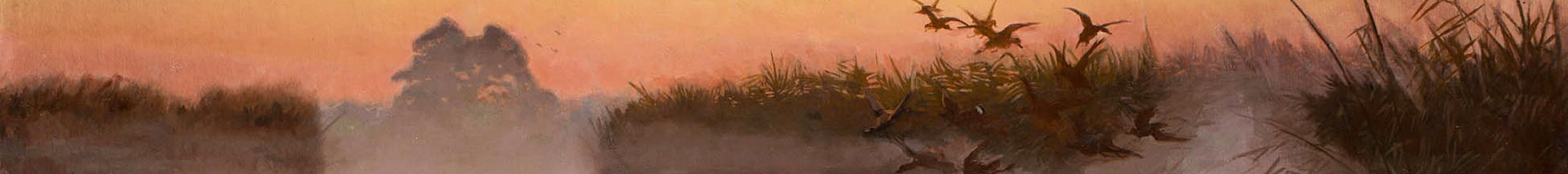 birds in a marsh at dawn