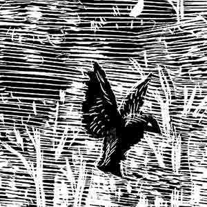 a black and white woodcut of a small bird