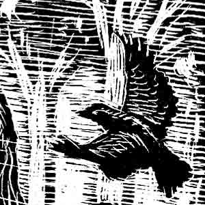 a black and white woodcut of a small bird