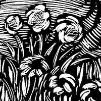 black and white woodcut of a flower in grass