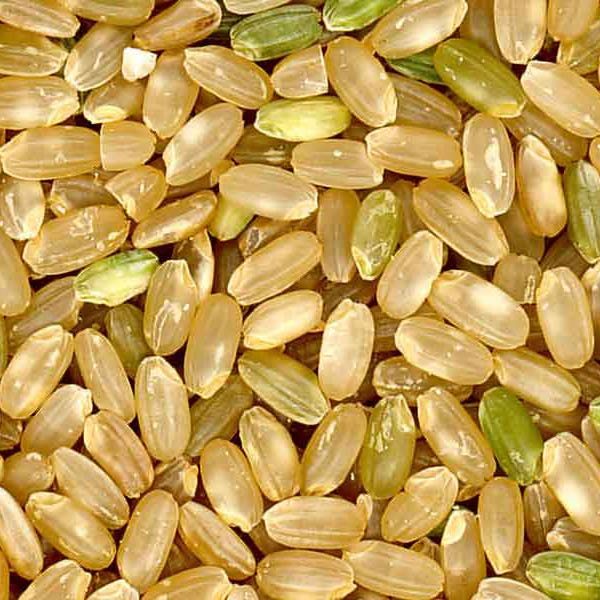 kernels of brown rice