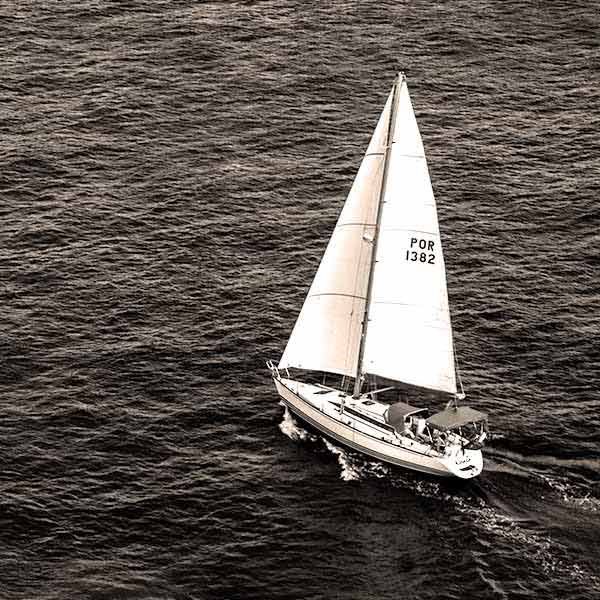aerial view of a sailboat on the water