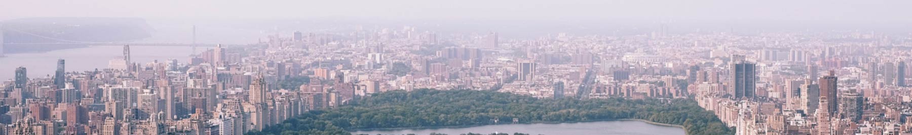 An aerial view of central park and the skyline of New York City
