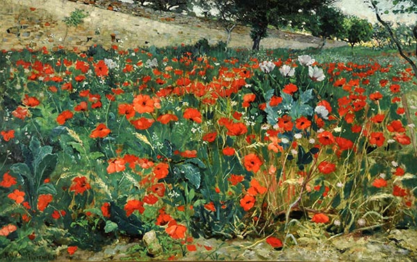 painting of a field of poppies
