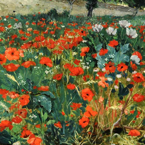 painting of a field of poppies
