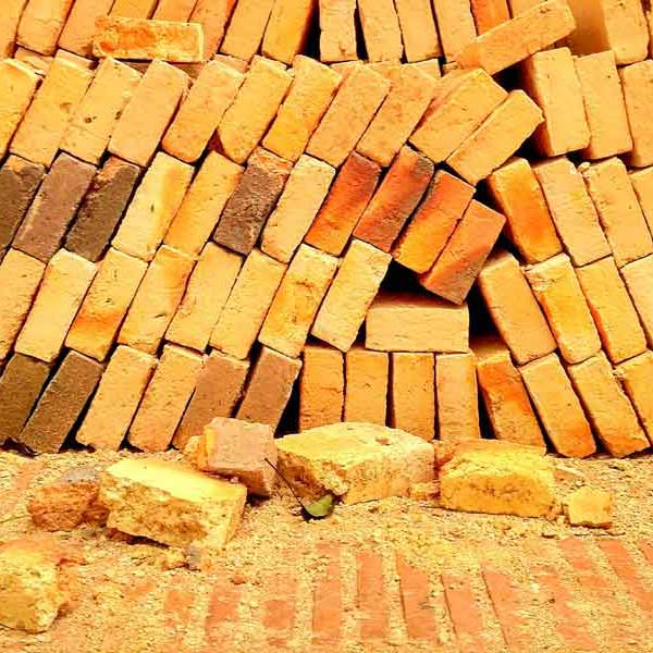 Paraguayan Bricks