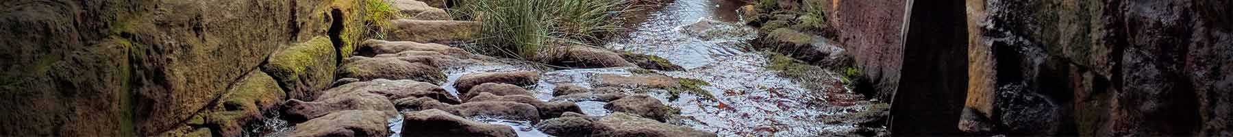 stream flowing out of a stone tunnel