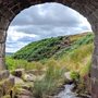 stream flowing out of a stone tunnel